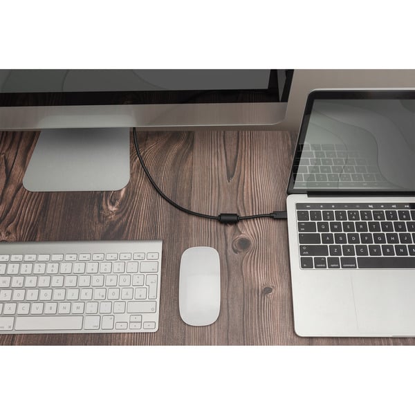 Digitus USB Gen 2 Adapterkabel USB-C > DisplayPort 4K - Digitus - vue 4