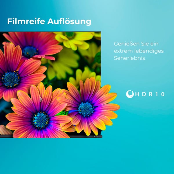Toshiba 24WV2F63DAZ, LED-Fernseher - Toshiba - vue 6