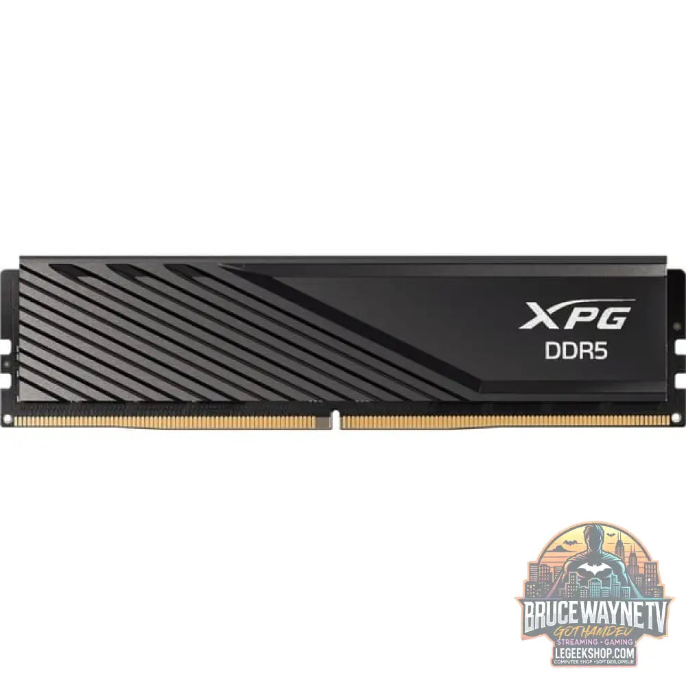 ADATA DIMM 16 GB DDR5-6000 (1x 16 GB), Arbeitsspeicher - ADATA