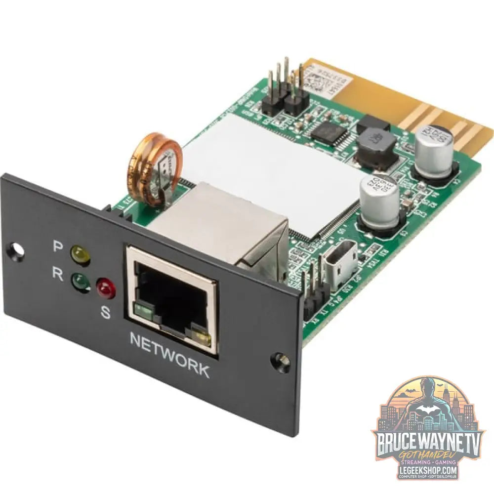 Digitus SNMP & WEB Karte pour OnLine USV-Anlagen, carte d'interface - Digitus