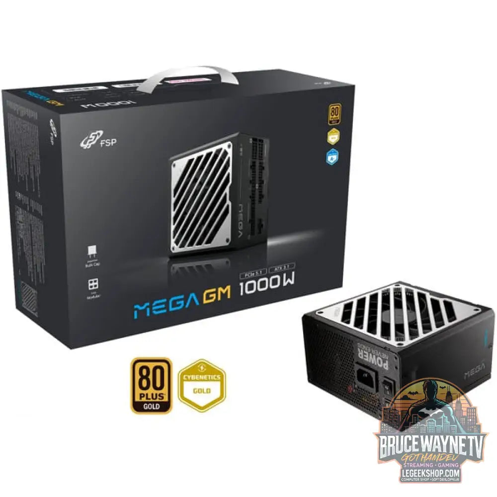 FSP MEGA GM 1000W, alimentation PC - FSP