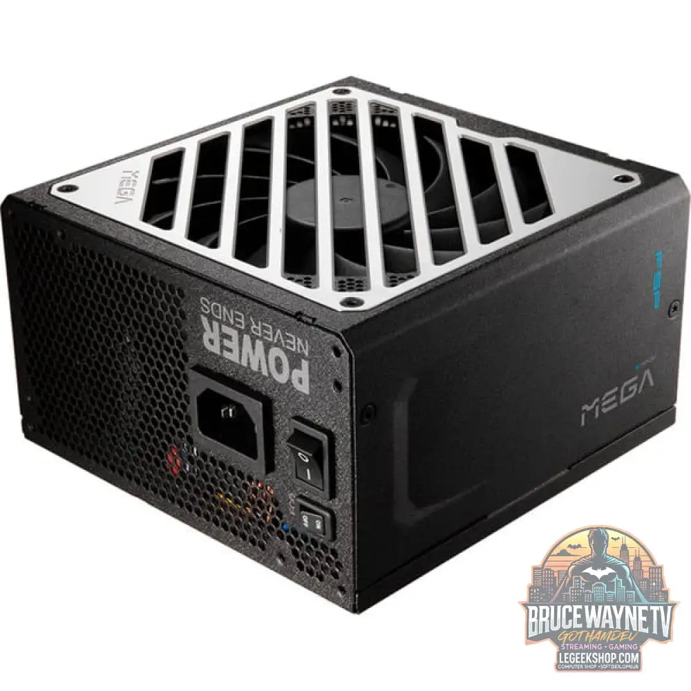 FSP MEGA GM 1000W, alimentation PC - FSP - vue 7