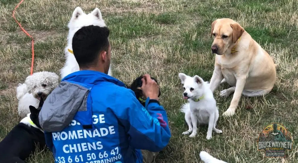 garde chien journée