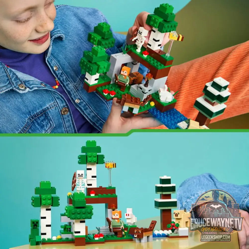 LEGO 21593 Minecraft Erstes Abenteuer in der Nacht, jeu de construction - LEGO - vue 5