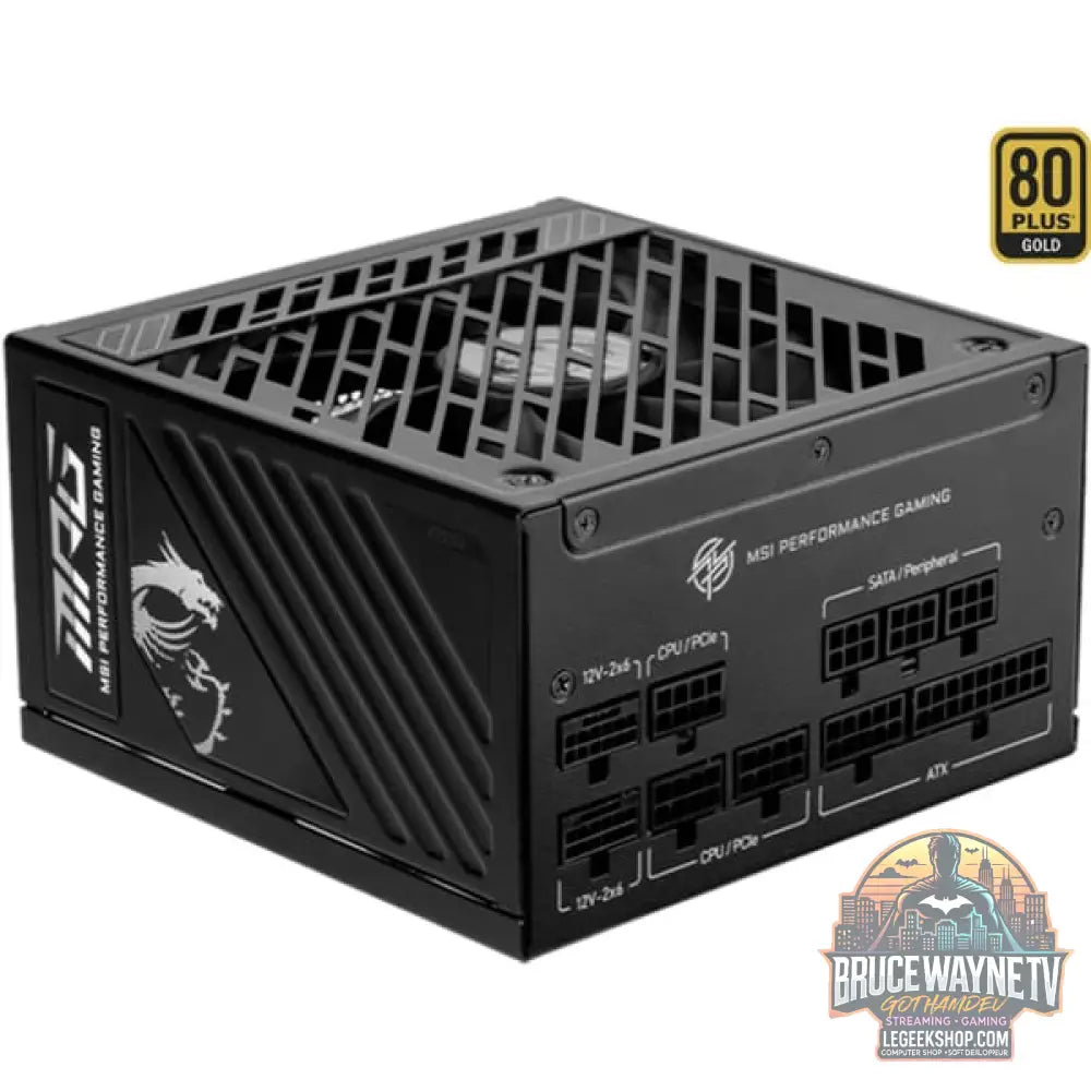 MSI MPG A1250GS PCIE5, alimentation PC - MSI