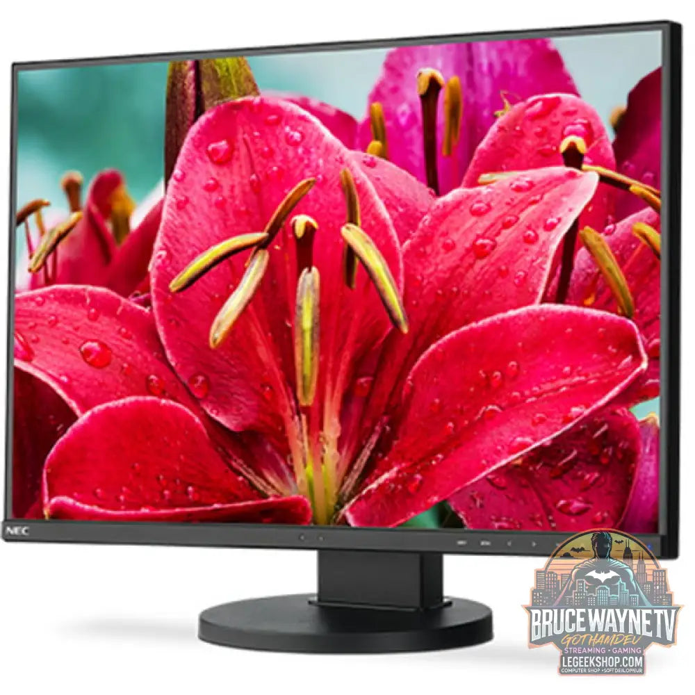 NEC MultiSync EA245WMI-BK (ohne Standfuß) 24" 1920 × 1200 px IPS 60 Hz - NEC