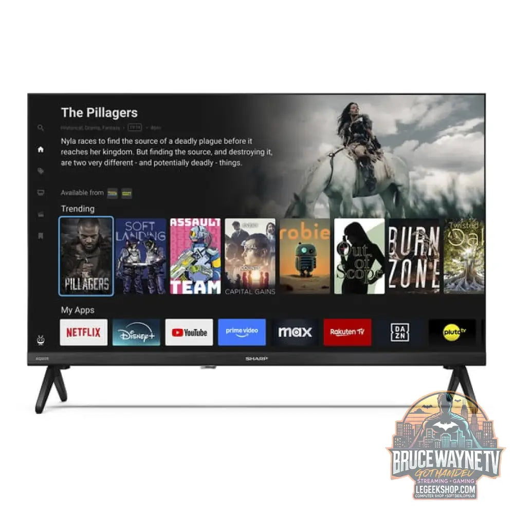 SHARP 24HE2745E, LED-Fernseher - SHARP - vue 8