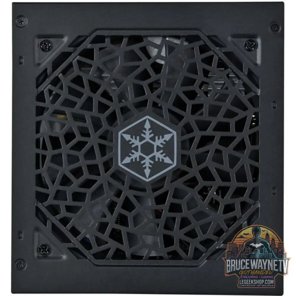 SilverStone Triton 750Rz, alimentation PC - SilverStone - vue 7