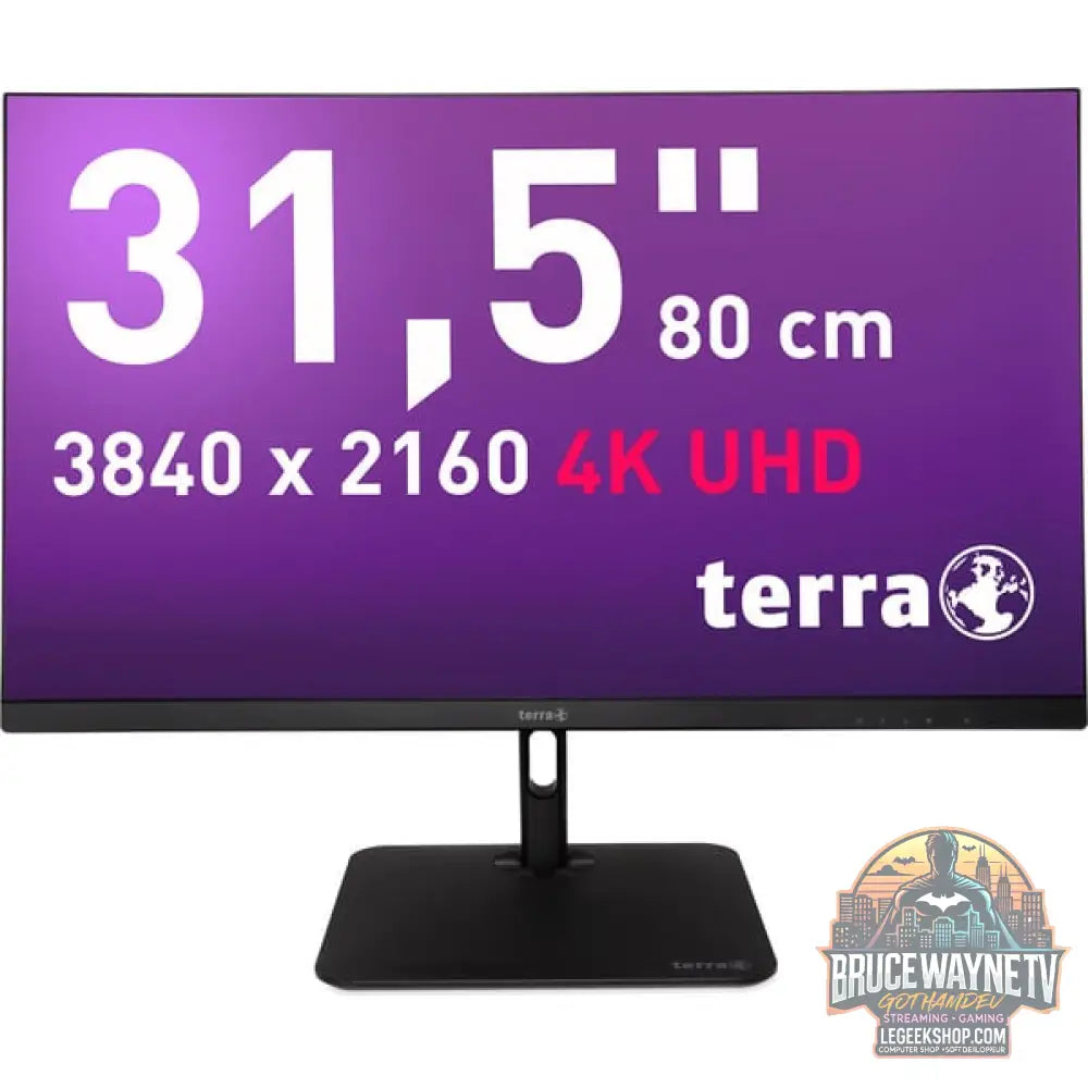 TERRA 3295W PV 31,5" 3840 × 2160 px IPS 60 Hz - TERRA