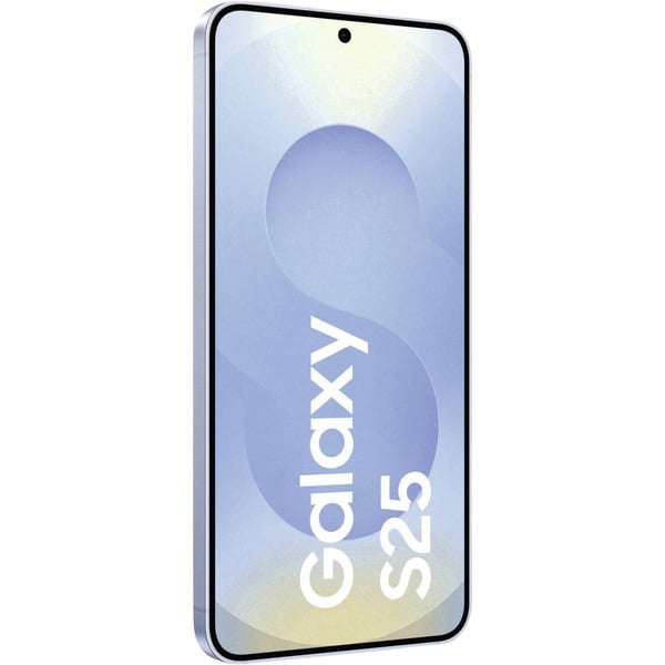 Guide d'achat : Samsung Galaxy S25 256GB 5G