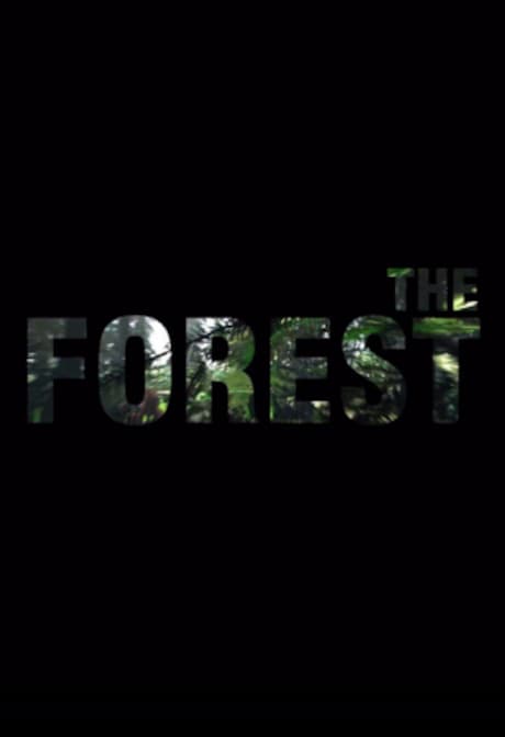 The Forest (PC) - Steam Gift - UNITED ARAB EMIRATES