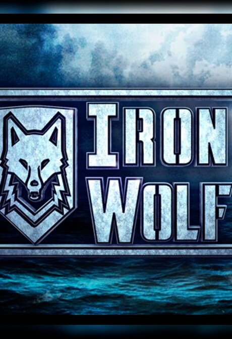 IronWolf VR Steam Gift EUROPE