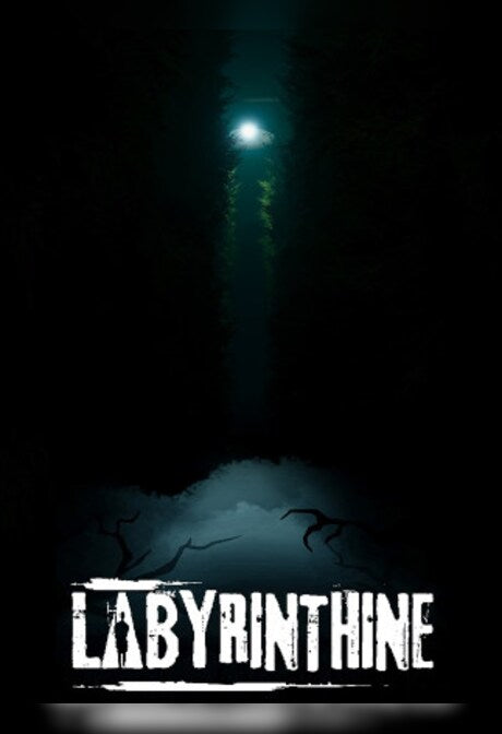 Labyrinthine (PC) - Steam Gift - EUROPE