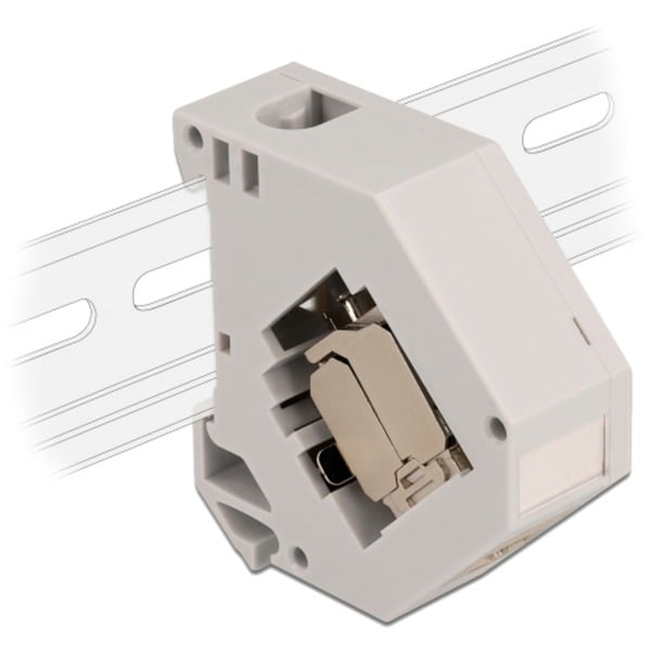 DeLOCK Hutschienenadapter avec Keystone-Modul RJ-45 > Cat.6a LSA - DeLOCK