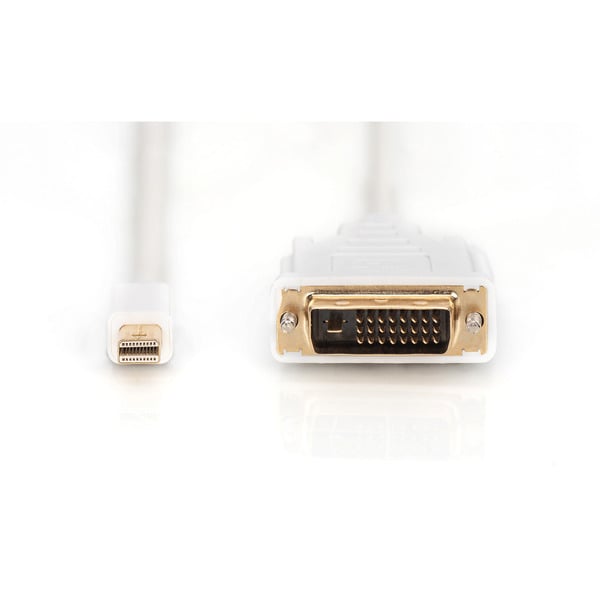 Digitus Adapterkabel mini-DisplayPort > DVI-D - Digitus - vue 2