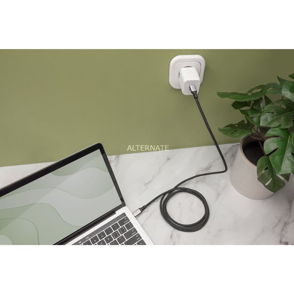 Digitus USB4 Gen 3x2 câble, USB-C Stecker > USB-C Stecker, 40Gbit/s - Digitus - vue 4