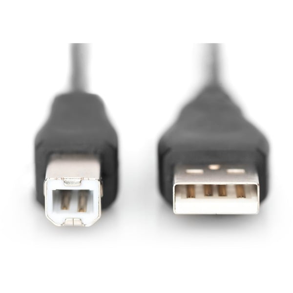 (€ 0,69 / 1 m) Digitus USB 2.0 Anschlusskabel USB-A (Stecker) > USB-B (Stecker) - Digitus - vue 2