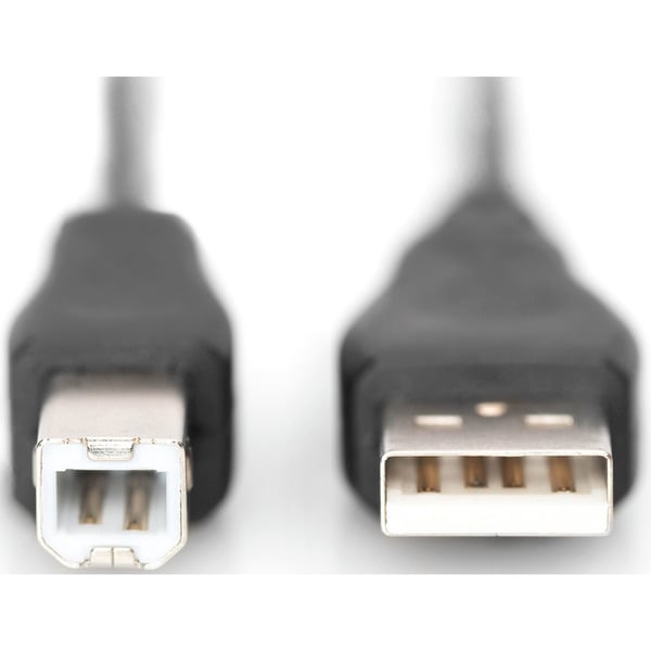 (€ 0,64 / 1 m) Digitus USB 2.0 Anschlusskabel USB-A (Stecker) > USB-B (Stecker) - Digitus - vue 2