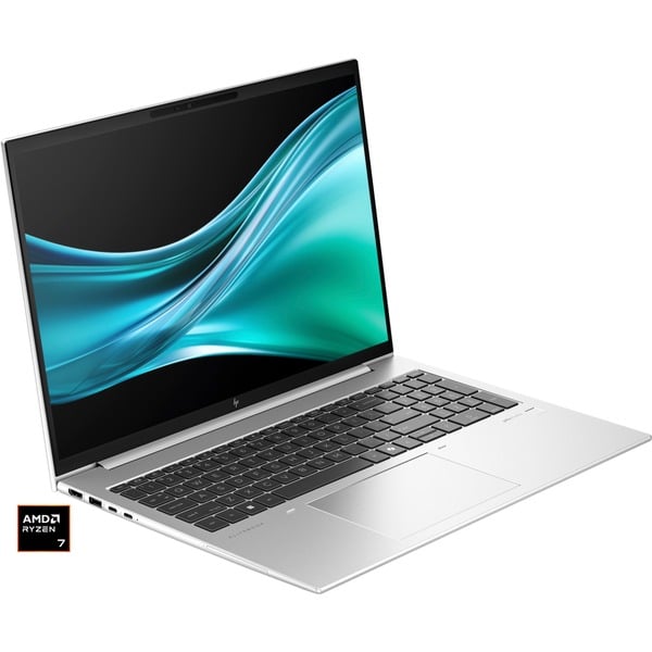 HP EliteBook 865 G11 (A36WTET) - HP