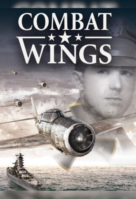 Combat Wings (PC) - Steam Key - GLOBAL