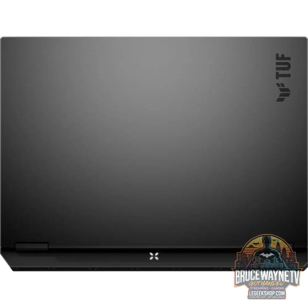 ASUS TUF Gaming A16 (FA608UM-RV136W), Gaming-Notebook - vue 8