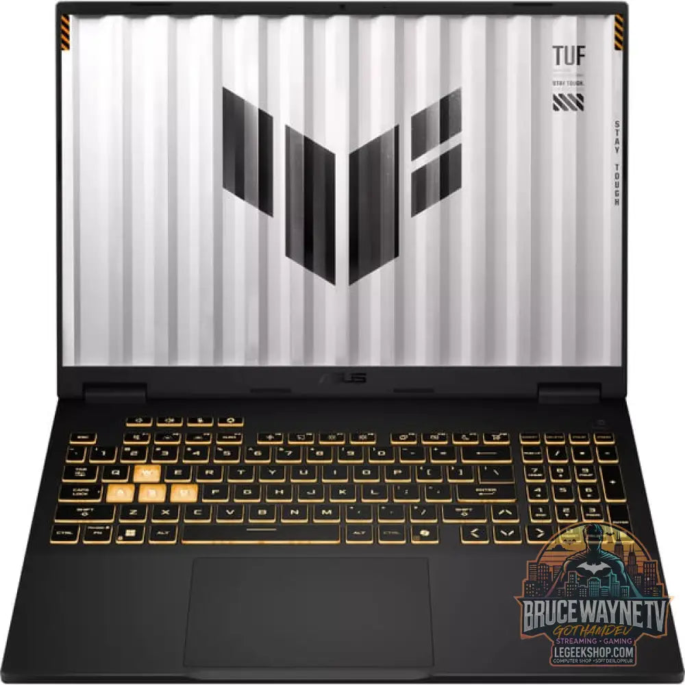 ASUS TUF Gaming A16 (FA608UP-RV019W), Gaming-Notebook - vue 2