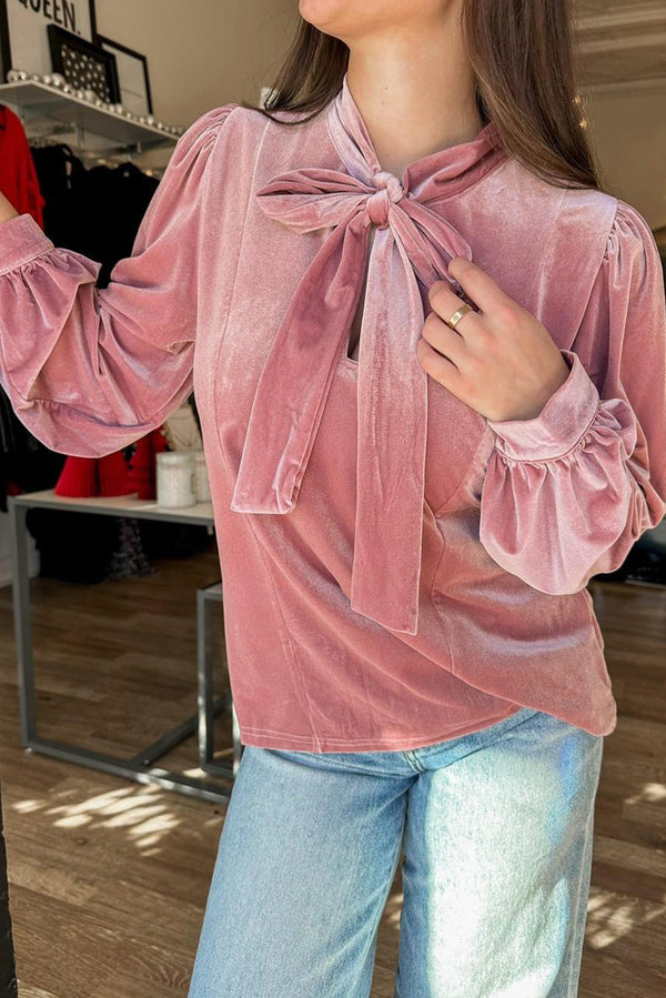 Blouse femme velours, manches longues, uni
