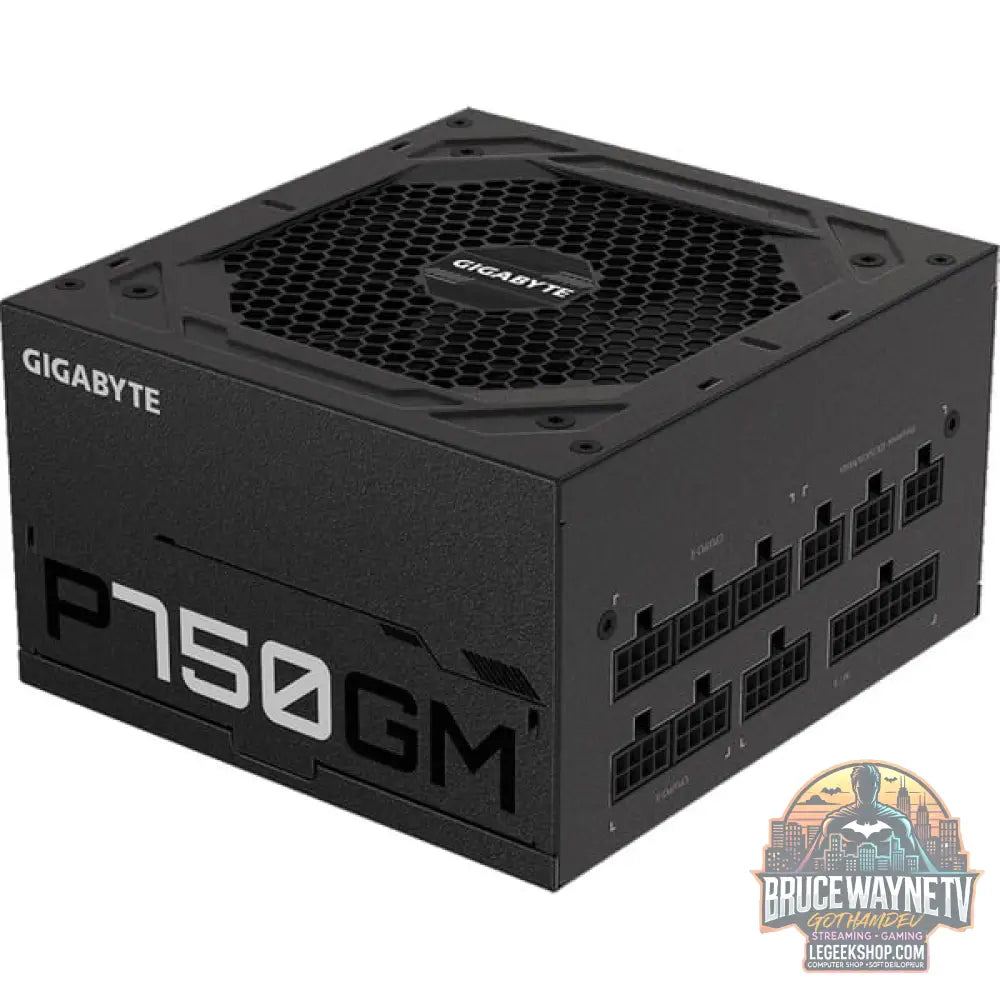 GIGABYTE GP-P750GM, alimentation PC - GIGABYTE - vue 4