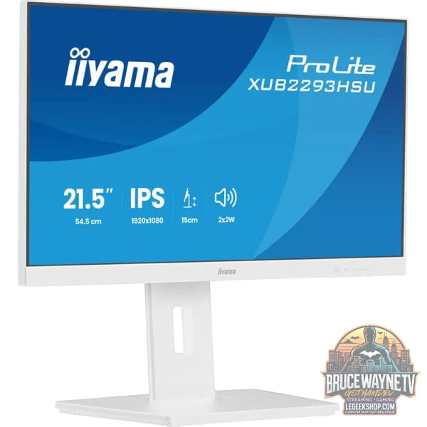 iiyama Prolite XUB2293HSU-W7 21,5" Full HD IPS 100 Hz - iiyama