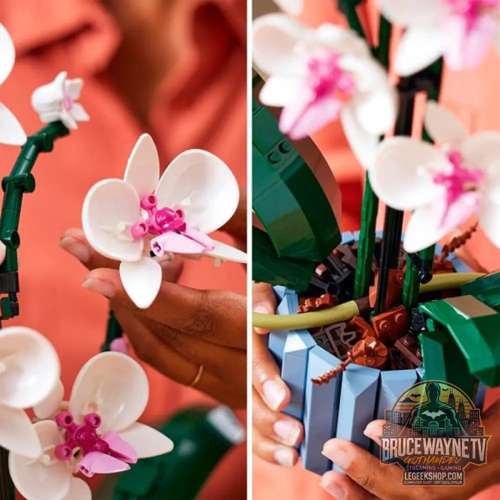 LEGO 10311 Icons Orchidee, jeu de construction - LEGO - vue 5