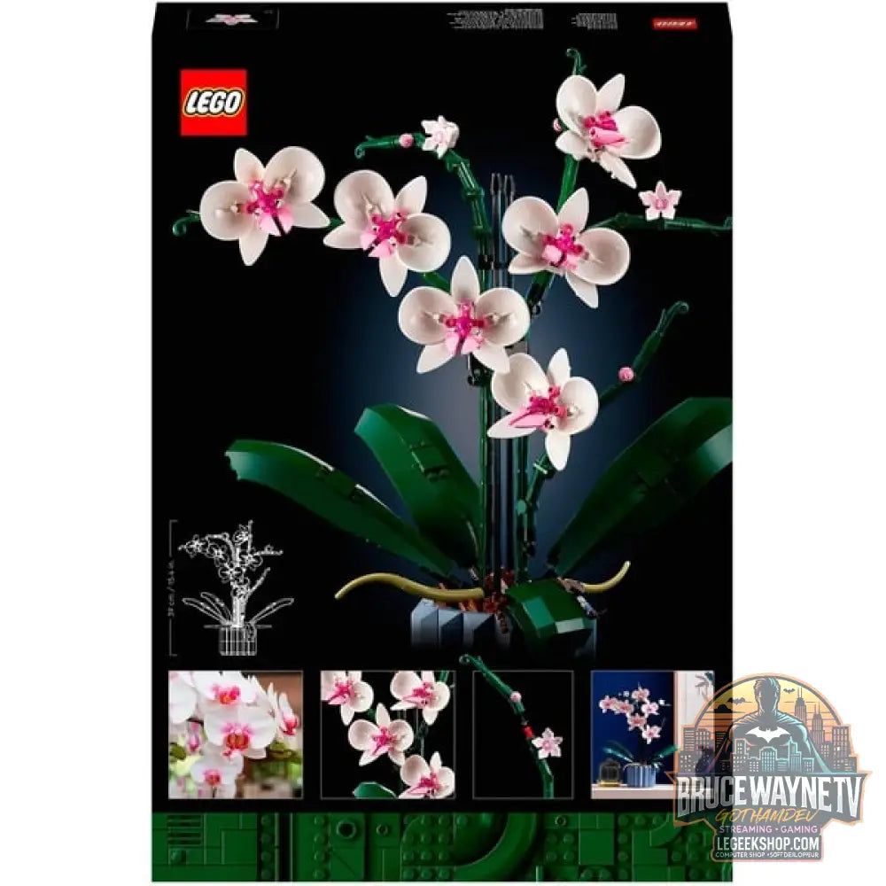 LEGO 10311 Icons Orchidee, jeu de construction - LEGO - vue 7