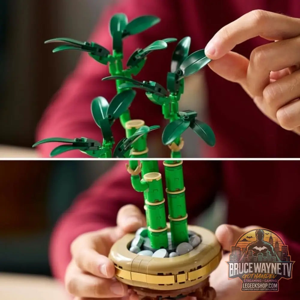 LEGO 10344 Botanicals Glücks-Bambus, jeu de construction - LEGO - vue 5
