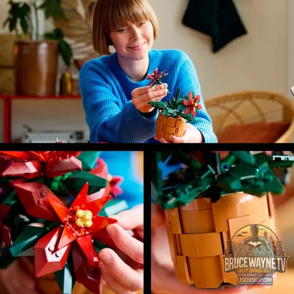LEGO 10370 Icons Weihnachtsstern, jeu de construction - LEGO - vue 6