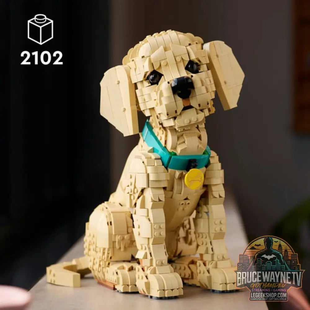 LEGO 11384 Icons Golden Retriever Welpe, jeu de construction - LEGO - vue 2