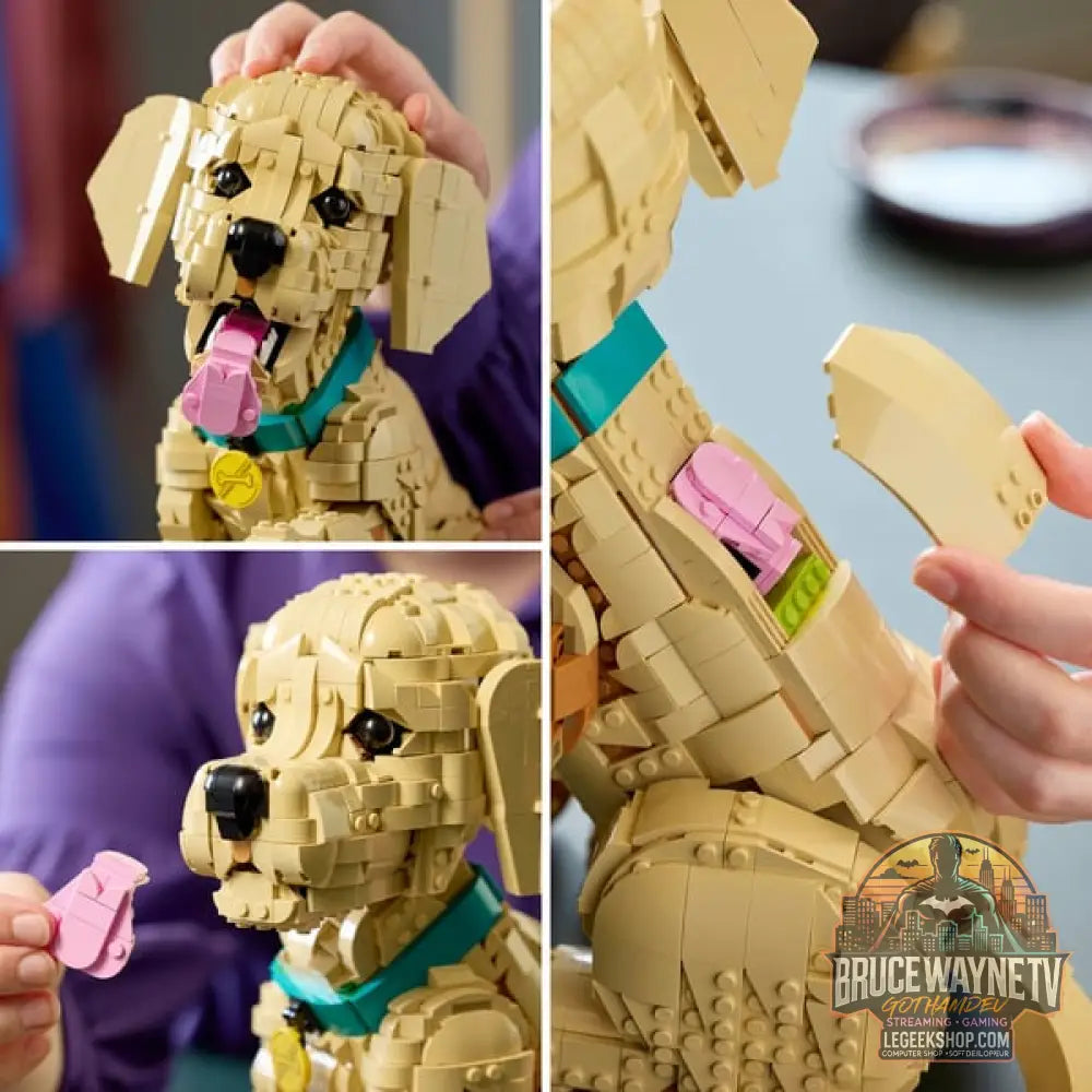 LEGO 11384 Icons Golden Retriever Welpe, jeu de construction - LEGO - vue 4