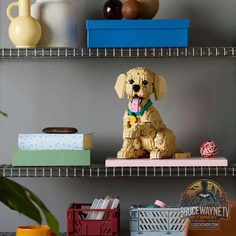 LEGO 11384 Icons Golden Retriever Welpe, jeu de construction - LEGO - vue 3