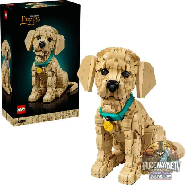 LEGO 11384 Icons Golden Retriever Welpe, jeu de construction - LEGO