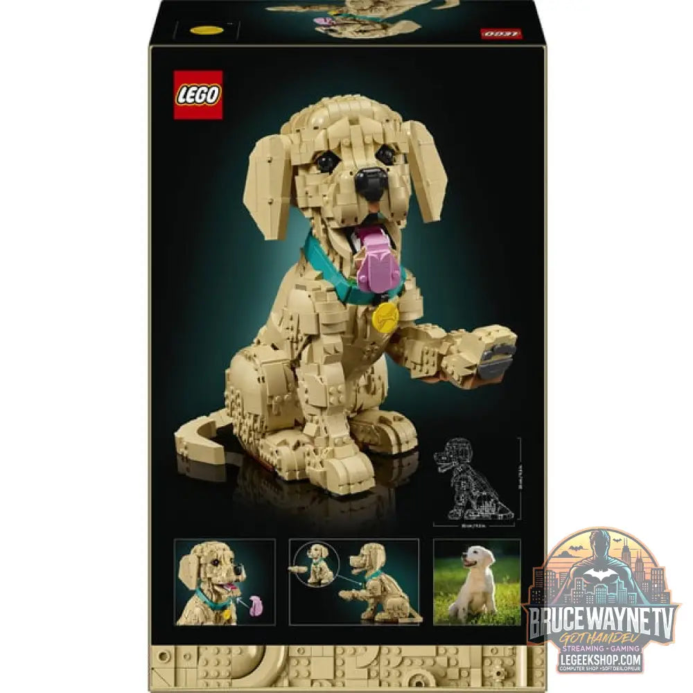 LEGO 11384 Icons Golden Retriever Welpe, jeu de construction - LEGO - vue 7
