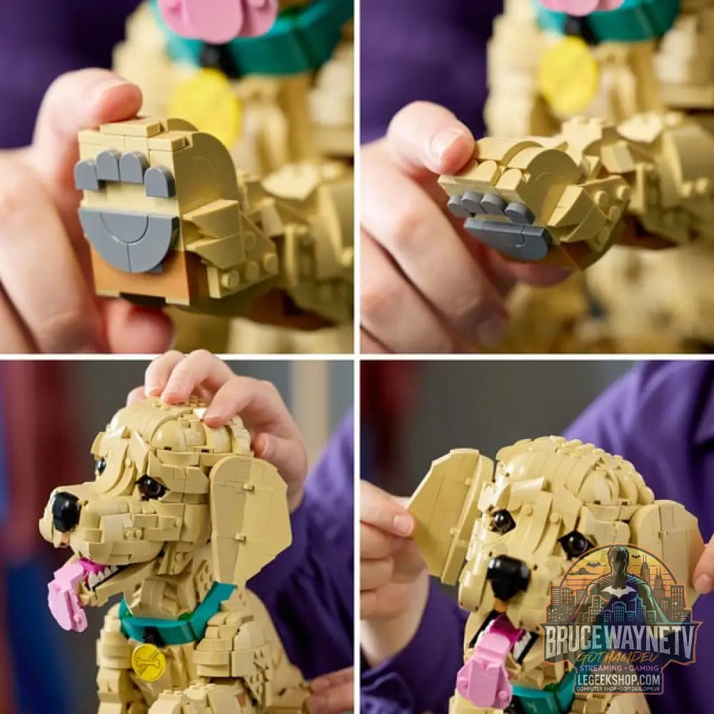 LEGO 11384 Icons Golden Retriever Welpe, jeu de construction - LEGO - vue 5