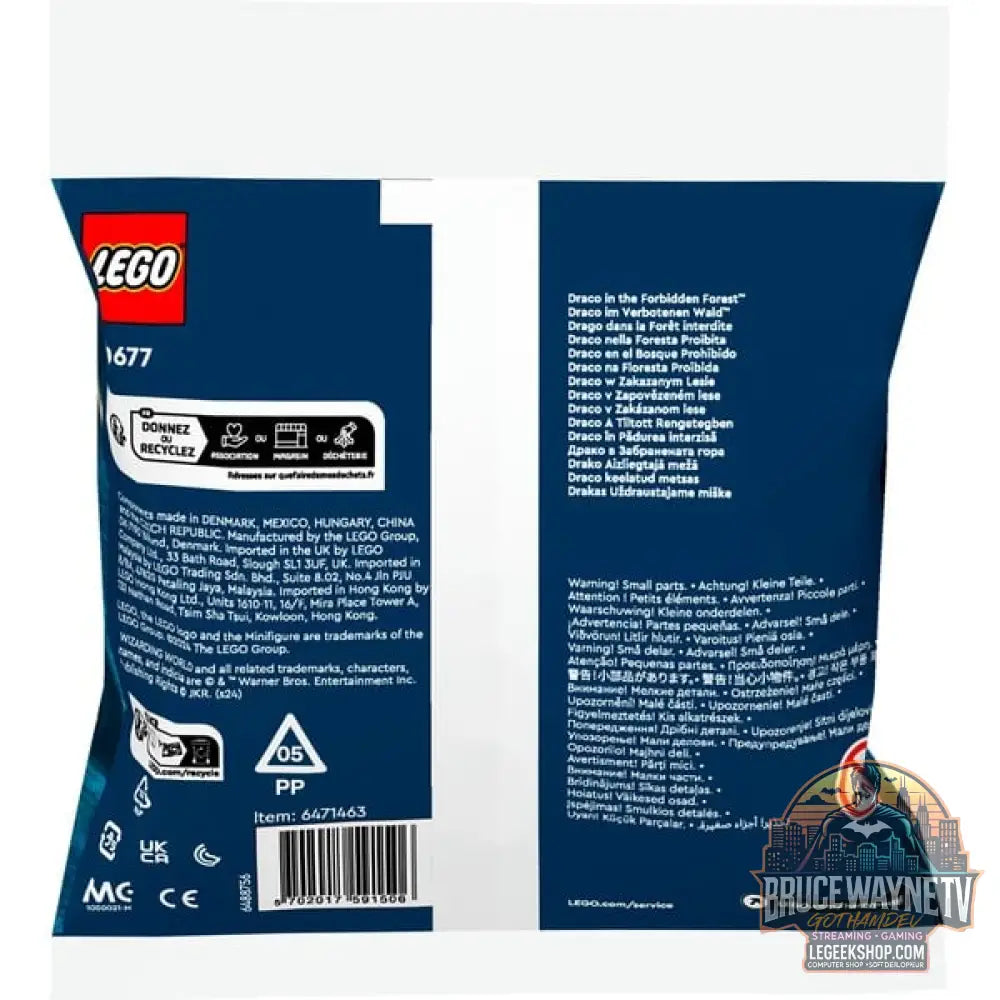 LEGO 30677 Harry Potter Draco im Verbotenen Wald, jeu de construction Polybag - LEGO - vue 3