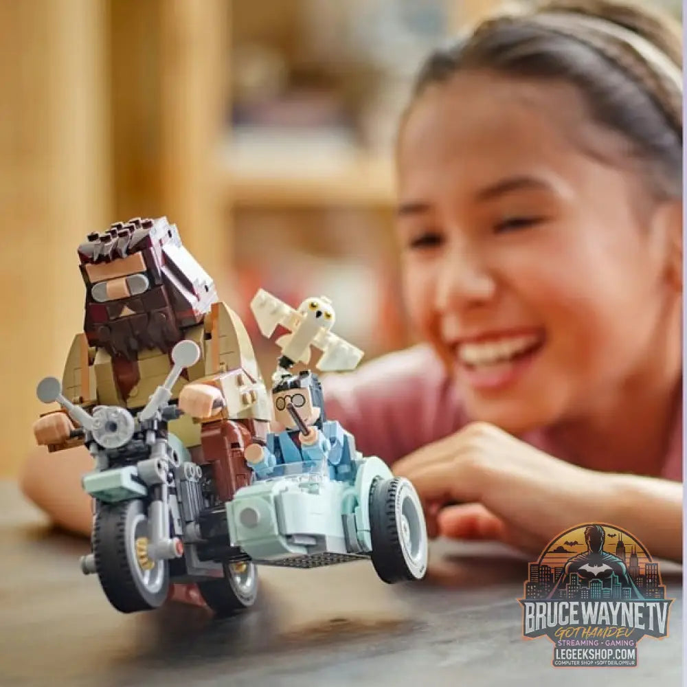 LEGO 76443 Harry Potter Hagrids et Harrys Motorradtour, jeu de construction - LEGO - vue 2