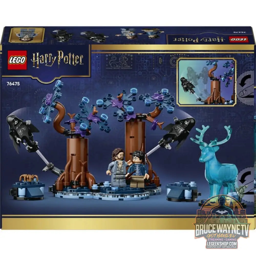 LEGO 76475 Harry Potter Verbotener Wald: Expecto Patronum, jeu de construction - LEGO - vue 7