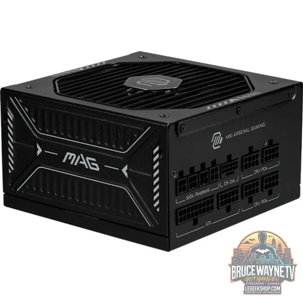MSI MAG A1000GLS PCIE5, alimentation PC - MSI - vue 2