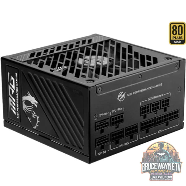 MSI MPG A1250GS PCIE5, alimentation PC - MSI