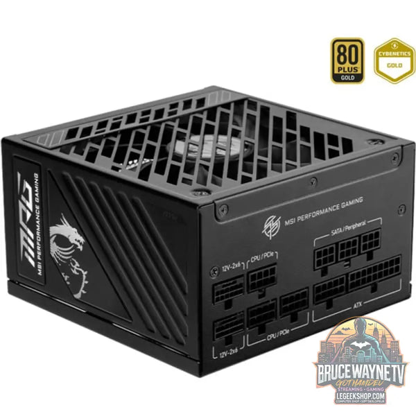 MSI MPG A850GS PCIE5, alimentation PC - MSI