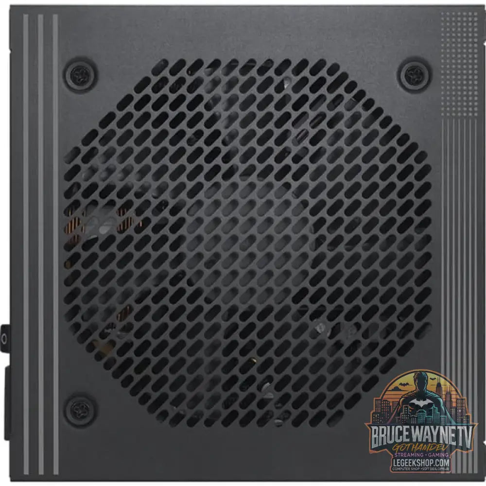 MSI PRO A1000PL PCIE5 1000W, alimentation PC - MSI - vue 4