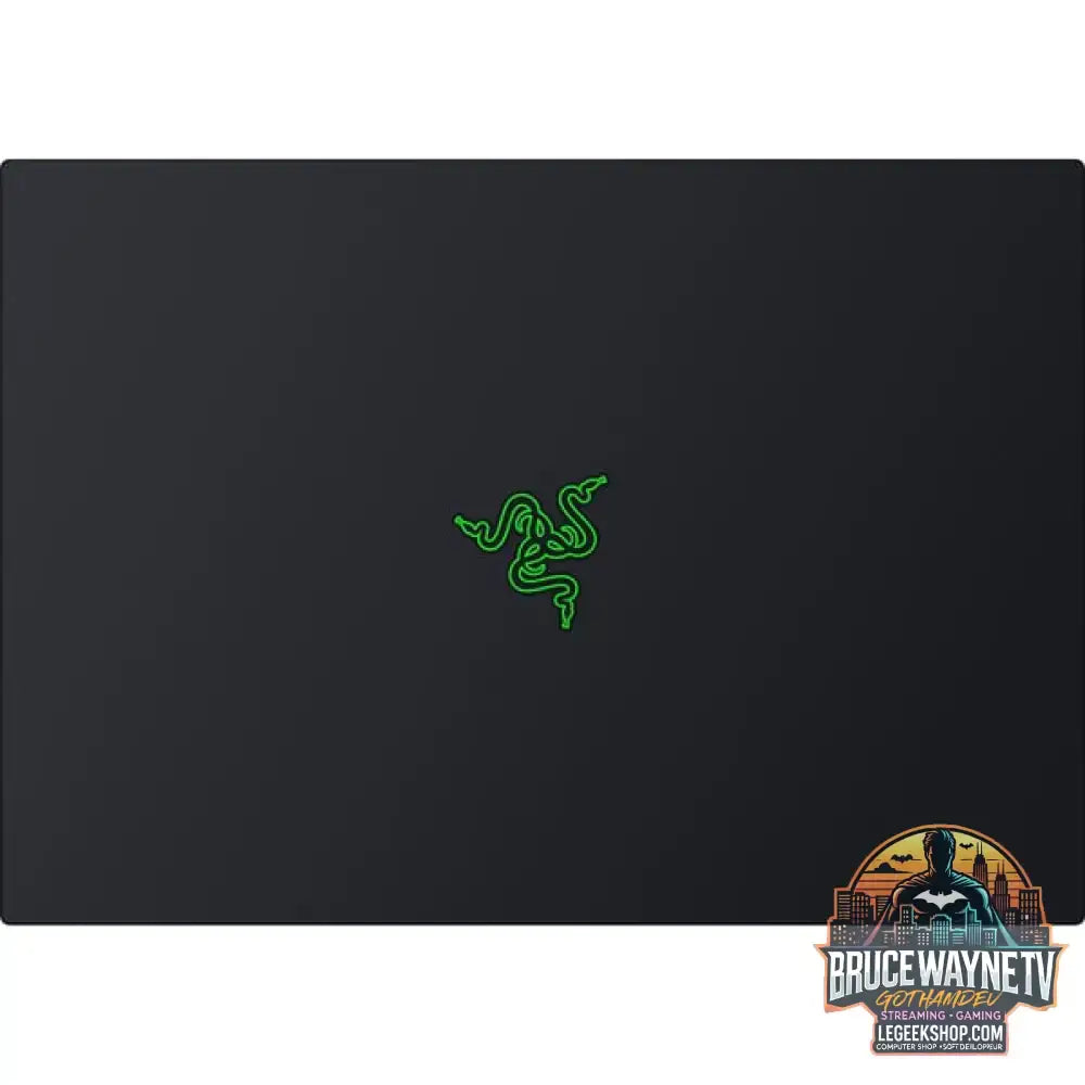 Razer Blade 16 (RZ09-05819GN4-R3G1), Gaming-Notebook - vue 9