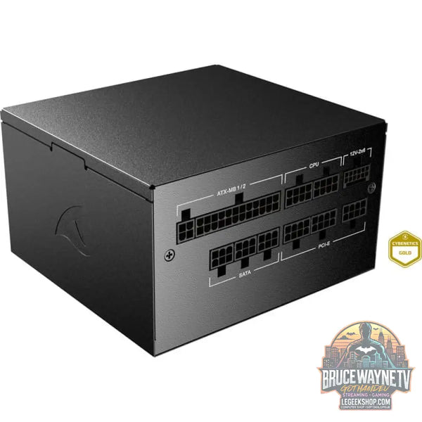 Sharkoon Rebel P20 Gen2 1000, alimentation PC - Sharkoon