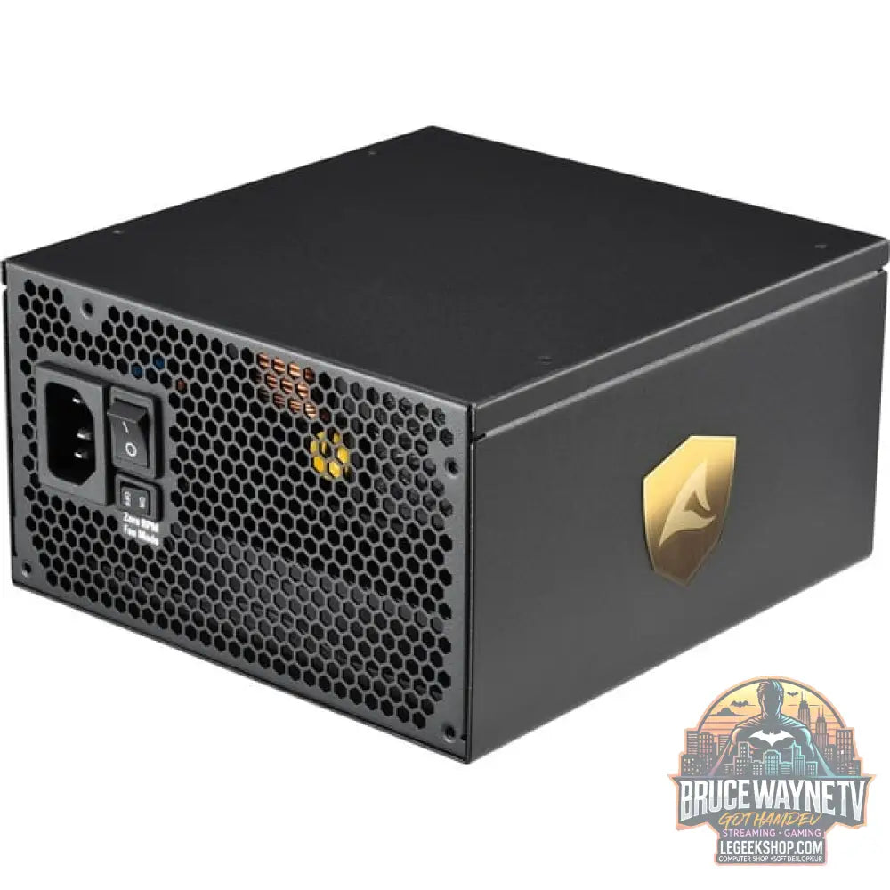 Sharkoon REBEL P30 Gold 1000W ATX3.0, alimentation PC - Sharkoon - vue 2