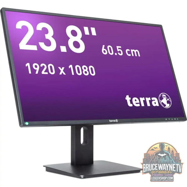 TERRA 2456W PV V4 23,8" Full HD IPS 75 Hz - TERRA
